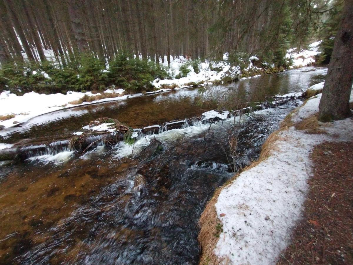 Alm-House Hollmann Leilighet Železná Ruda Eksteriør bilde